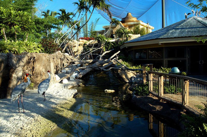 Miami Zoo: Tropical Paradise for Wildlife Lovers