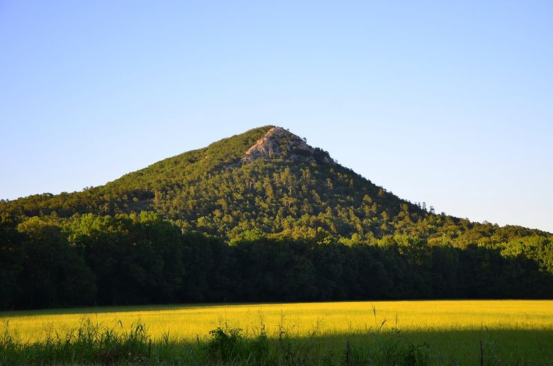 Pinnacle Mountain West Summit Trail