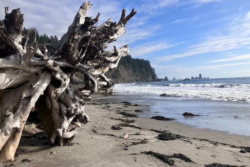 La Push Beaches