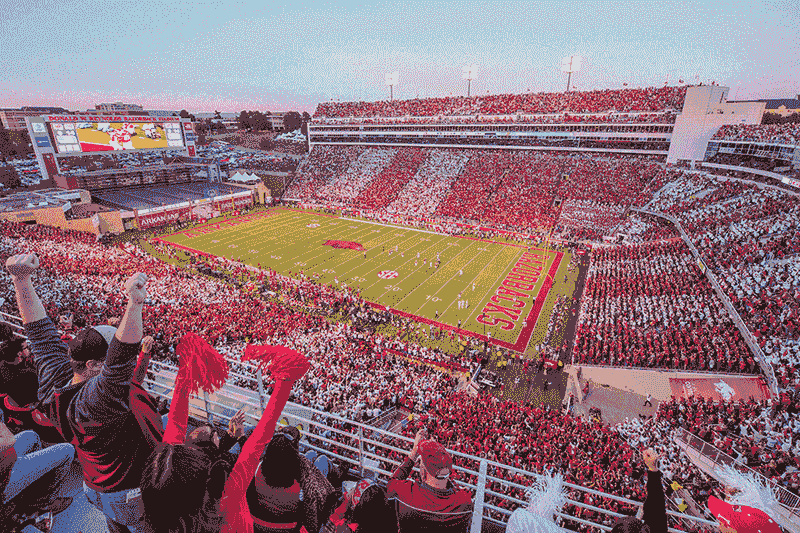 Razorback Fandom Reaches Cult Status