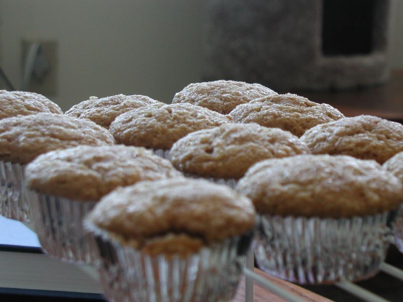 Applesauce Cups