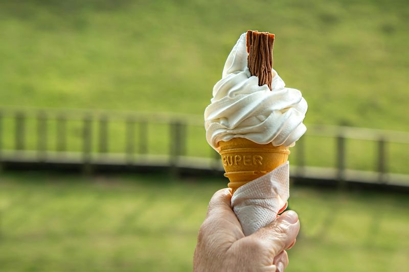 Vanilla
