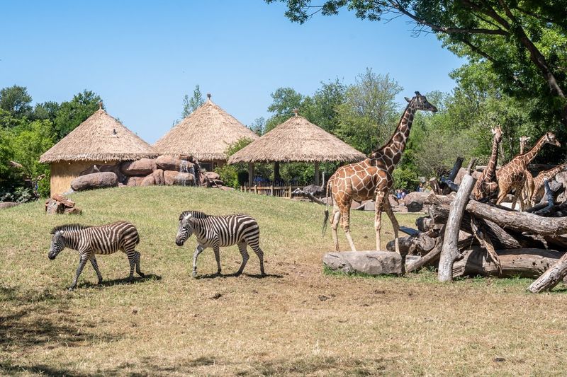 Fort Worth Zoo: Texas' Premier Wildlife Experience