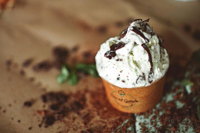Chocolate Chip