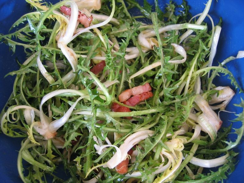 Dandelion Salad