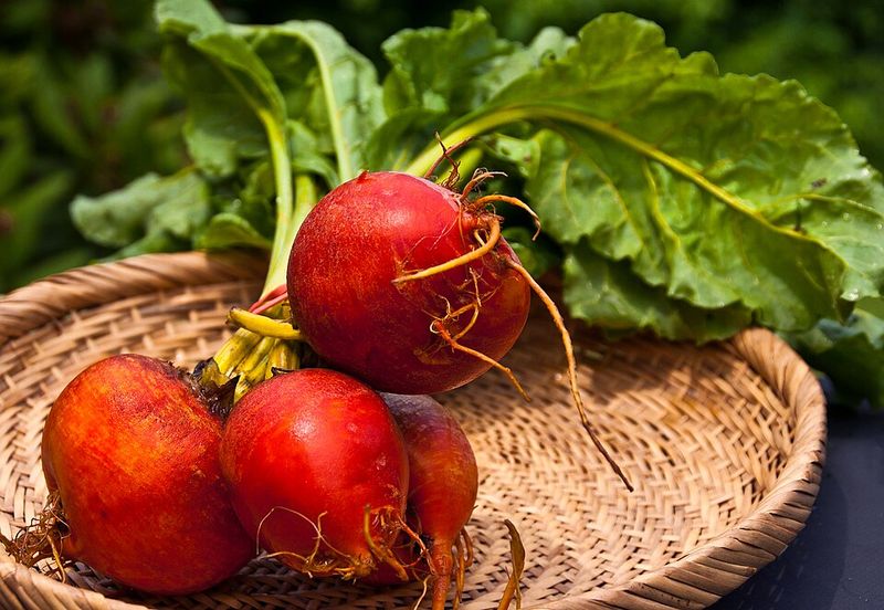 Harvard Beets