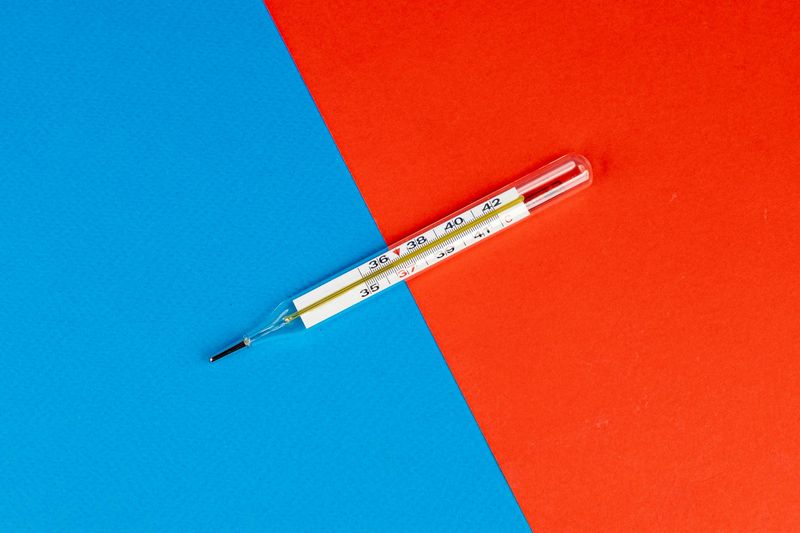 Mercury Thermometers