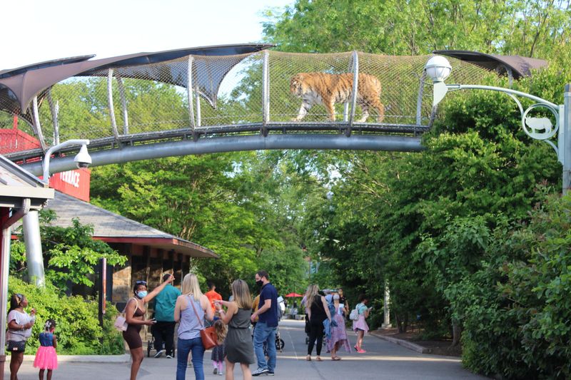 Philadelphia Zoo: America's First Animal Park