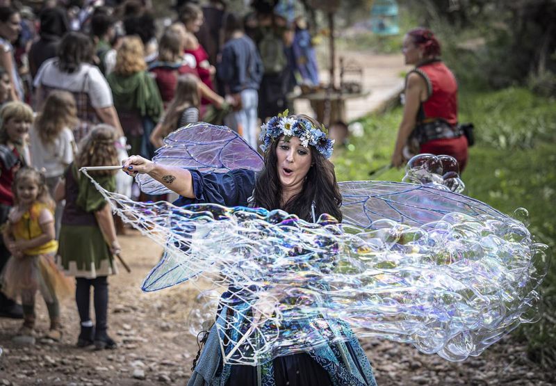 Delaware Renaissance Faire II (November 1–2, 2025)