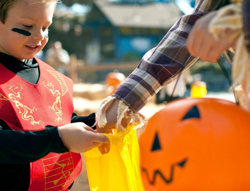 Boo Fest
