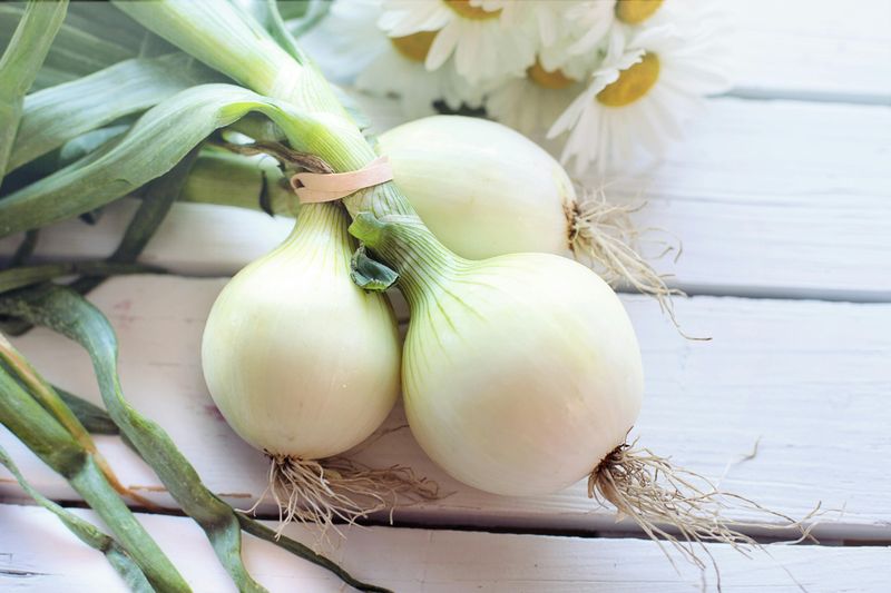 Keep An Onion Handy