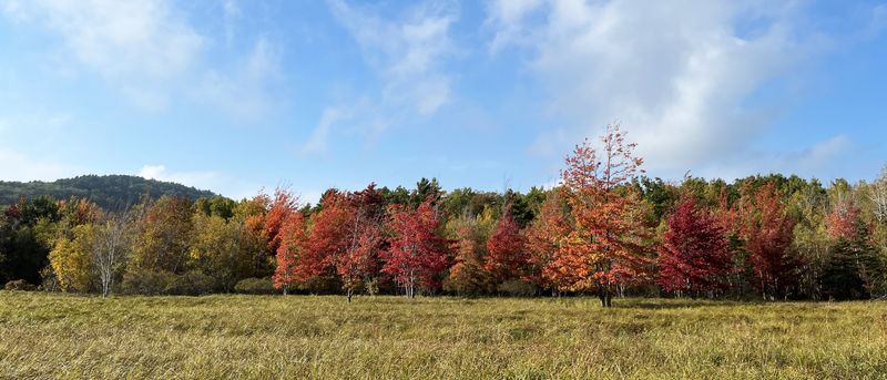 Jesup Path in Bar Harbor