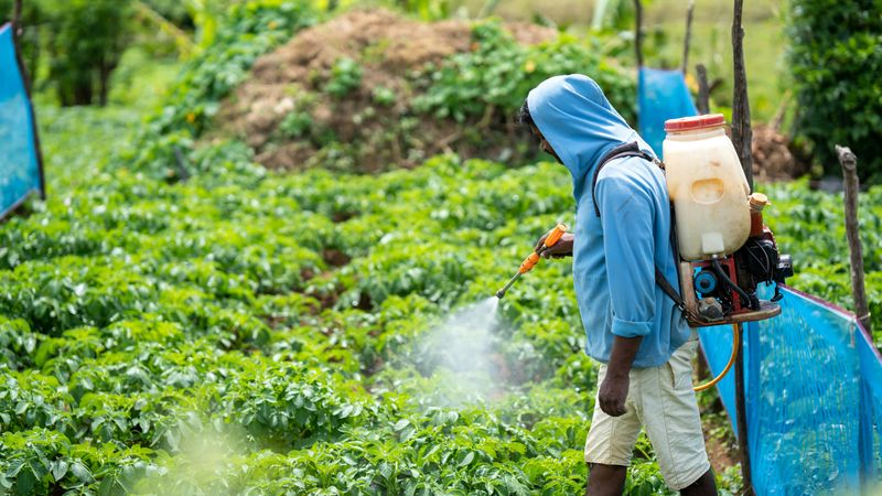 DDT and Other Banned Pesticides