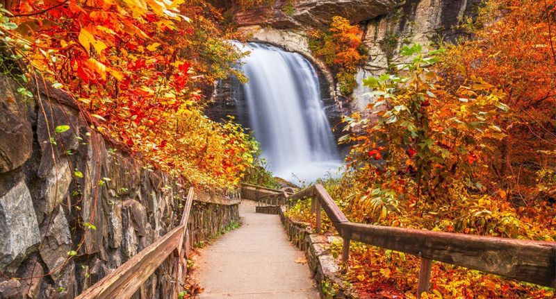 Looking Glass Falls