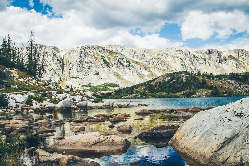 Medicine Bow