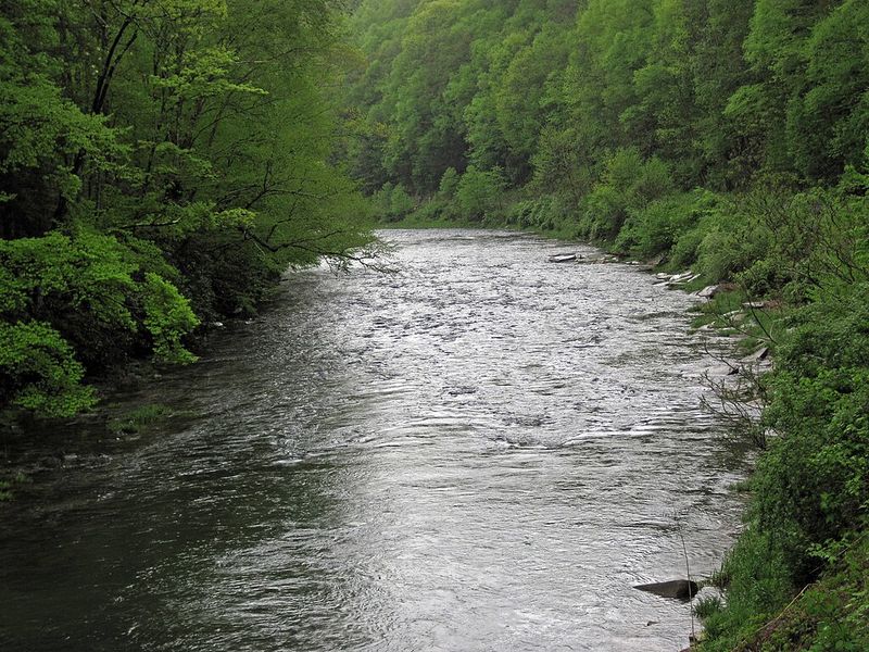 Greenbrier River Flows Beside Your Window