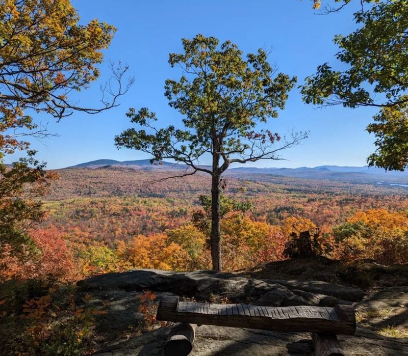 Mount Blue Trail in Mount Blue State Park