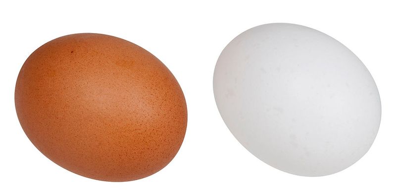 Brown Eggs Are More Nutritious Than White Eggs