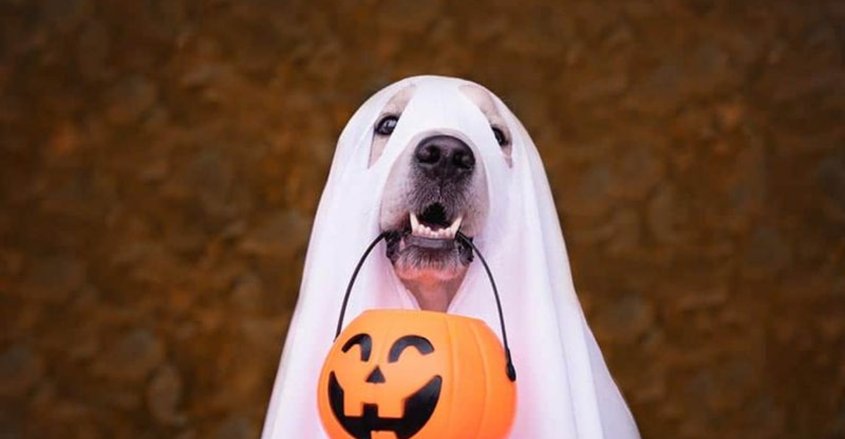 Eureka Springs, Arkansas Is Where Ghosts, Ghouls, And Goblins Roam Free This Halloween
