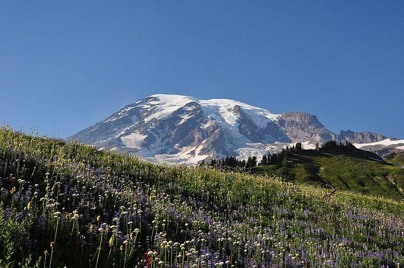 Mount Rainier National Park (Washington)