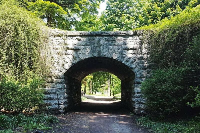 Delaware Road and Ivy Arch Bridge in Buffalo