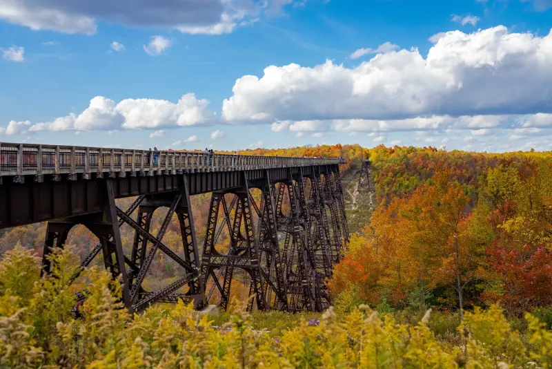 Kinzua Bridge Skywalk and Creek Trail