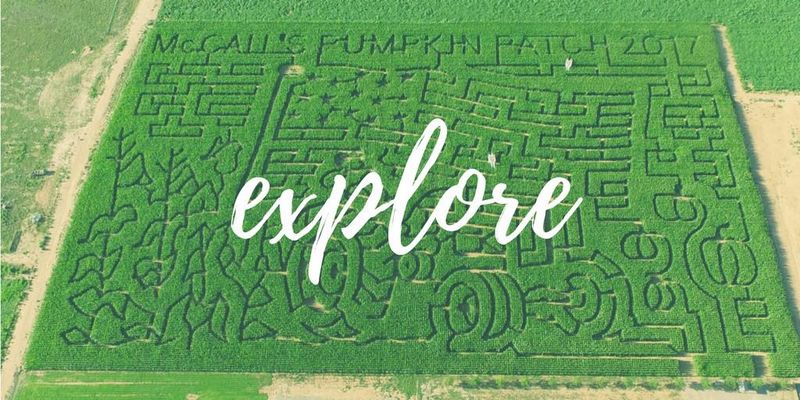 Corn Maze Challenge Like No Other