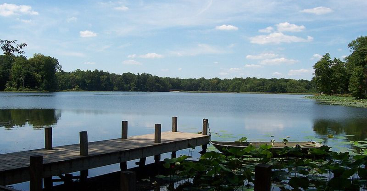 Ferdinand Indiana Offers Forest Trails And Rare Lakeside Wildlife