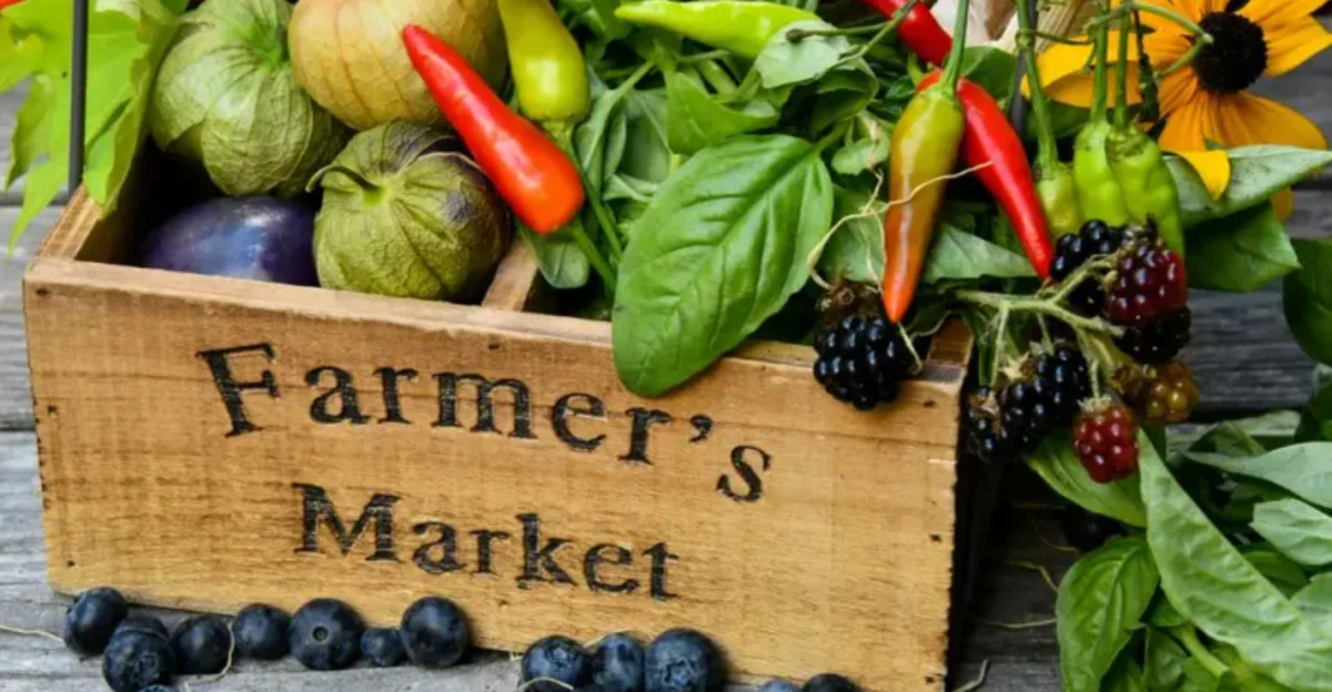 Field To Table: 7 SC Farmers Markets To Explore This Fall