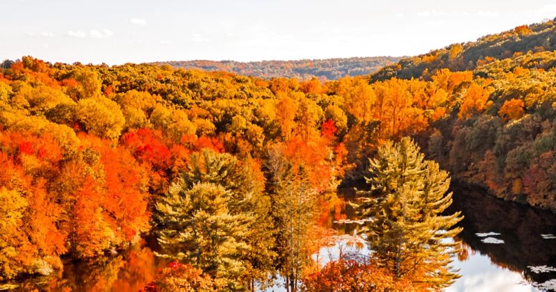 Fall Foliage Spectacular