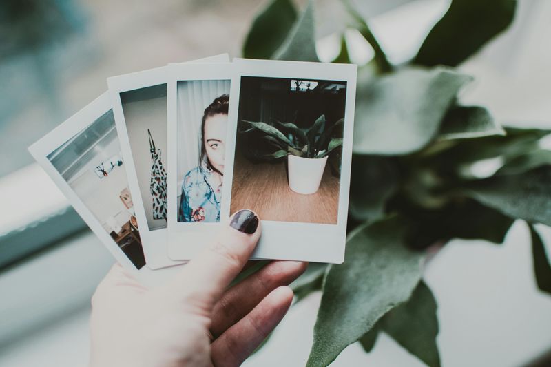 Watching Polaroid Photos Develop Like Magic