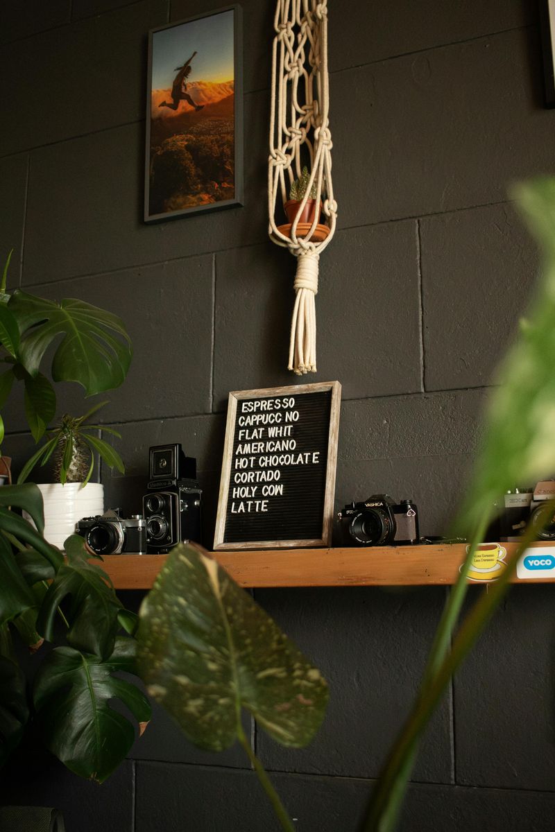 Macrame Wall Hangings