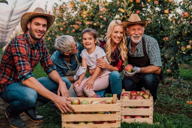 Family-Friendly Autumn Traditions