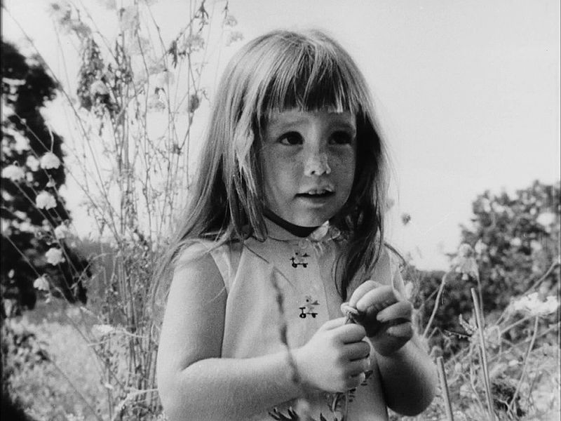 Daisy - Lyndon B. Johnson Campaign