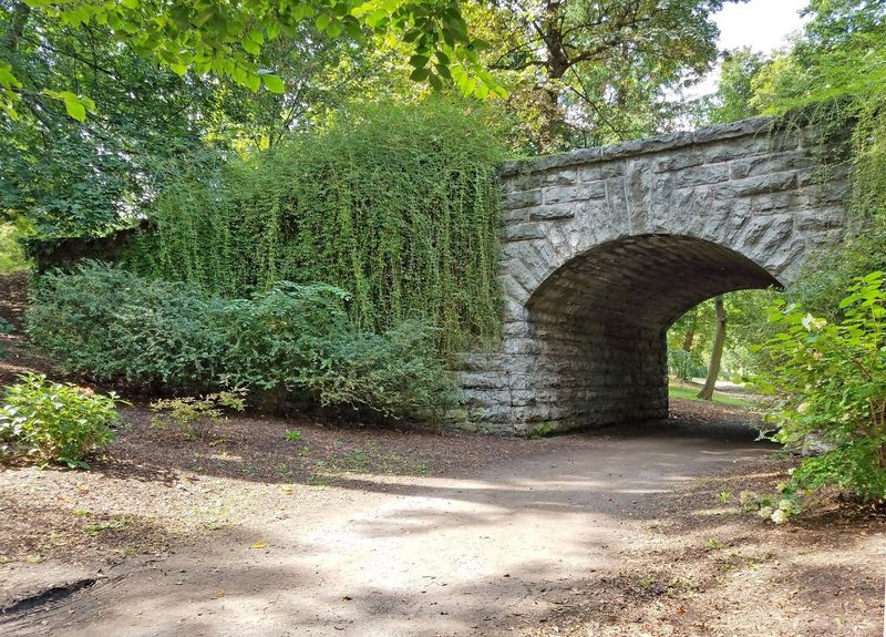 Delaware Road and Ivy Arch Bridge