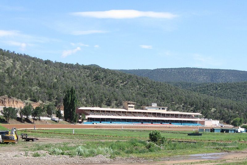 Racing Glory and Million-Dollar Stakes