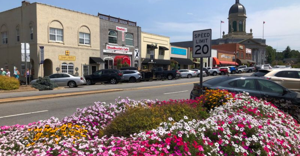 Gibsonville North Carolina Where Roses And Railroads Bloom Together