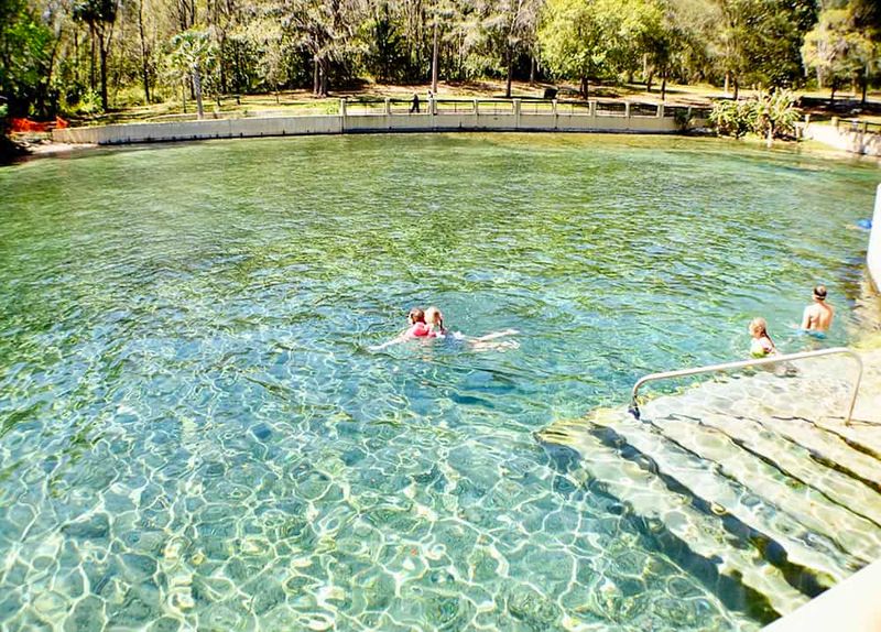 Salt Springs