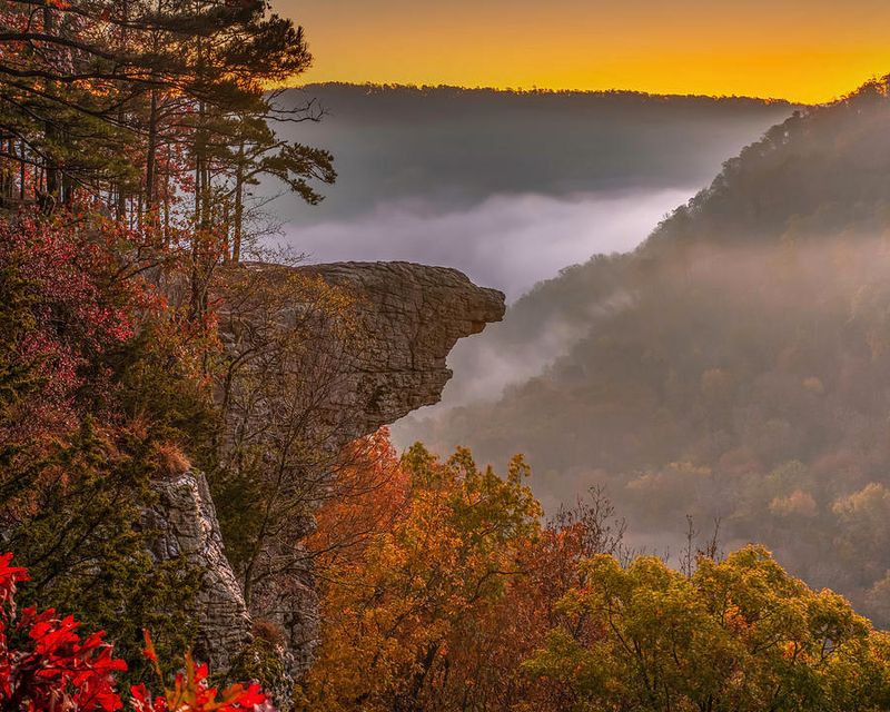 Whitaker Point Trail