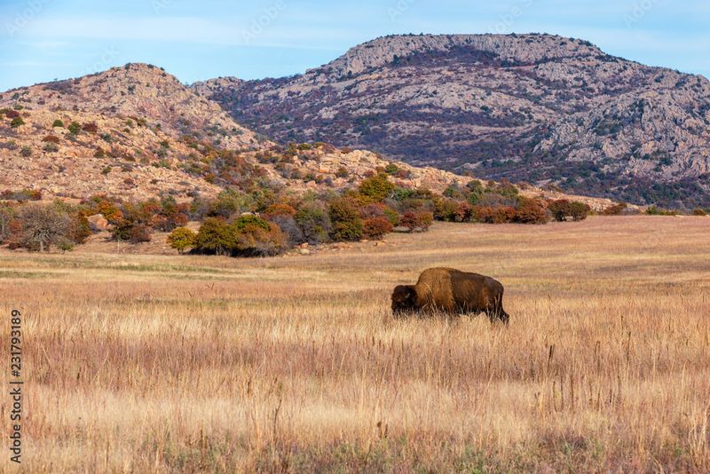 Wichita Mountains Wildlife Refuge, Oklahoma