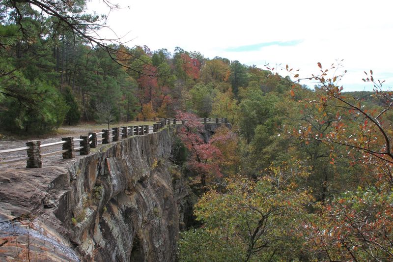 Kings Bluff Loop