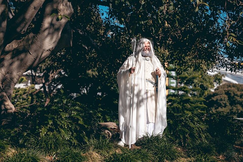 The Lord of the Rings: The Fellowship of the Ring (2001)