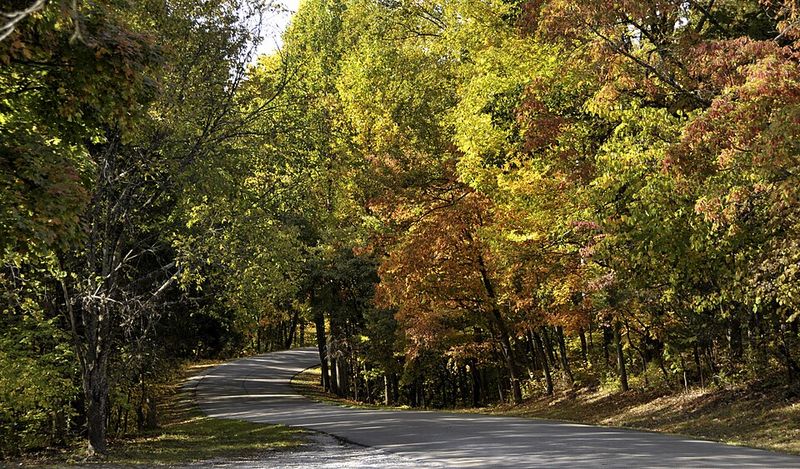 Forest Trails Minutes From Main Street