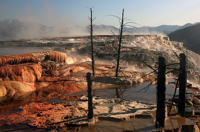 Truth or Consequences, New Mexico