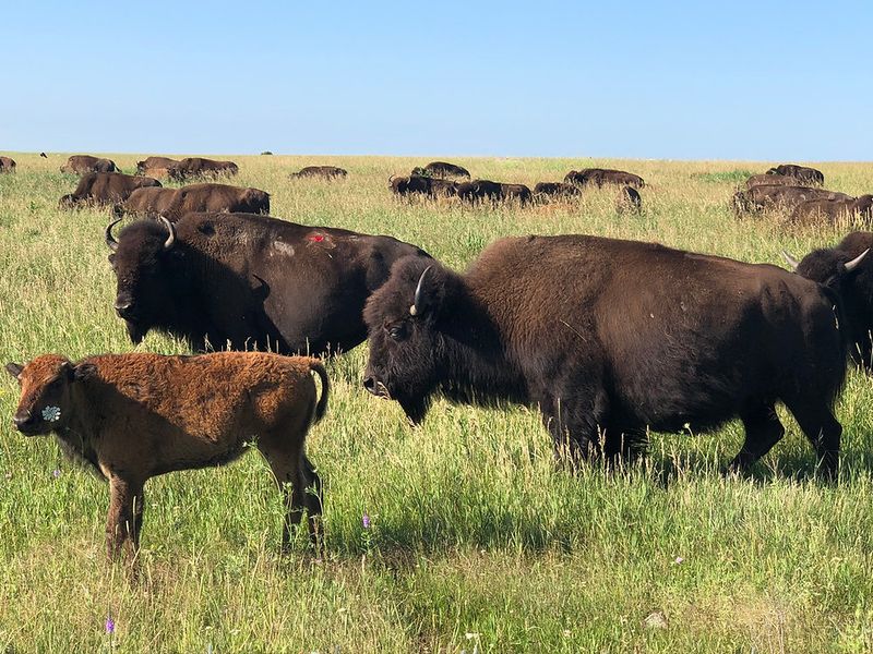 Blue Mounds State Park, Minnesota