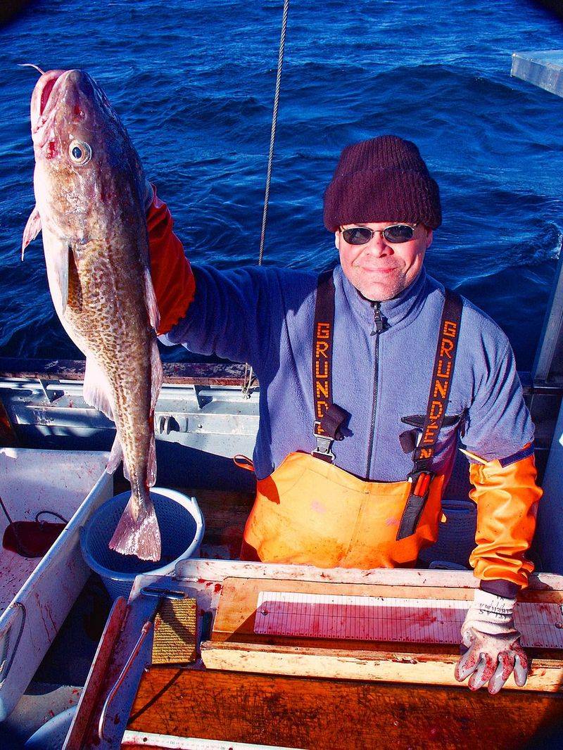 Pacific Cod