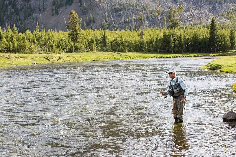 Fly Fishing the Madison River
