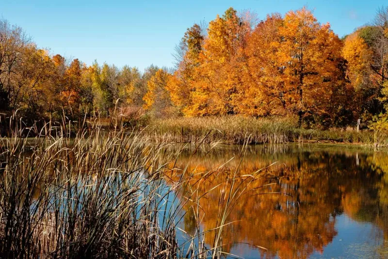 Pike Lake Unit of the Kettle Moraine State Forest – Hartford