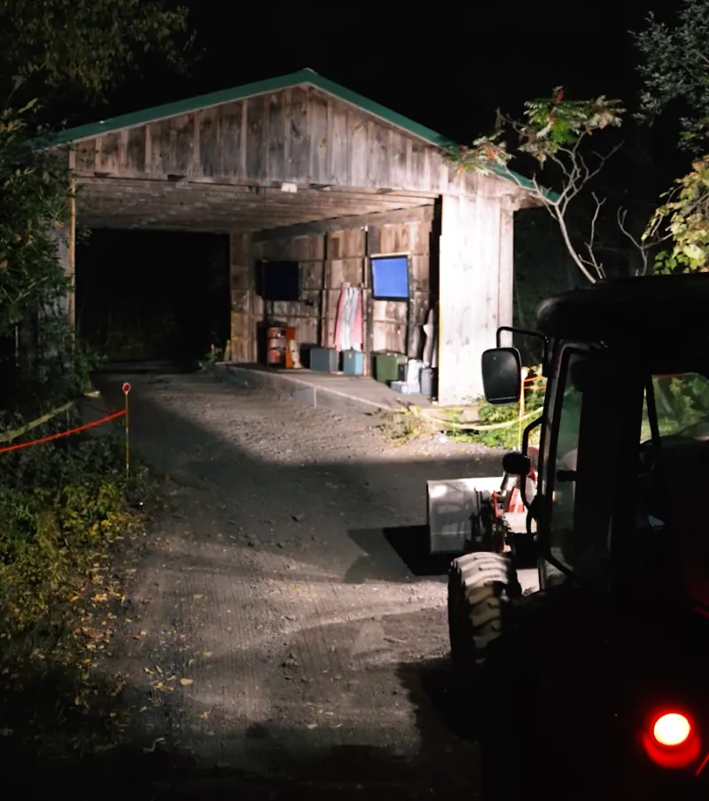 The Haunted Forests in Clarence