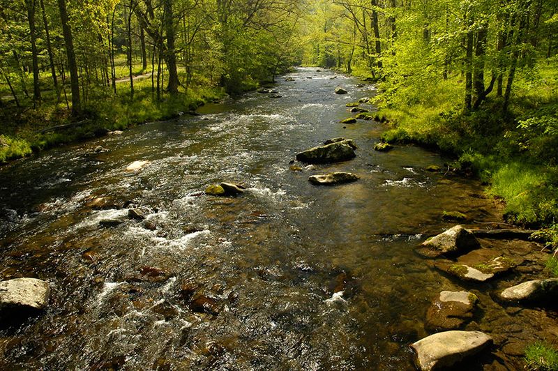 Why Anglers Go